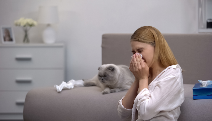 Алергия към котки