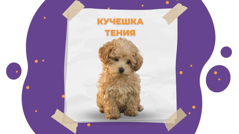 Кучешка тения | Що е то и как да предпазим нашите любимци?