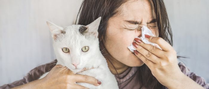 алергия към котки