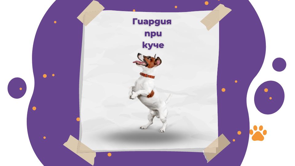 Гиардия при куче | Как да излекуваме любимеца си ? - Vet Clinics