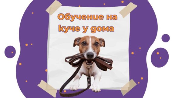 обучение на куче у дома