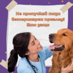 ветеринарни прегледи