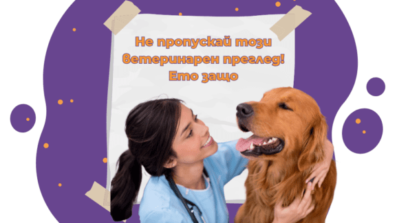 ветеринарни прегледи