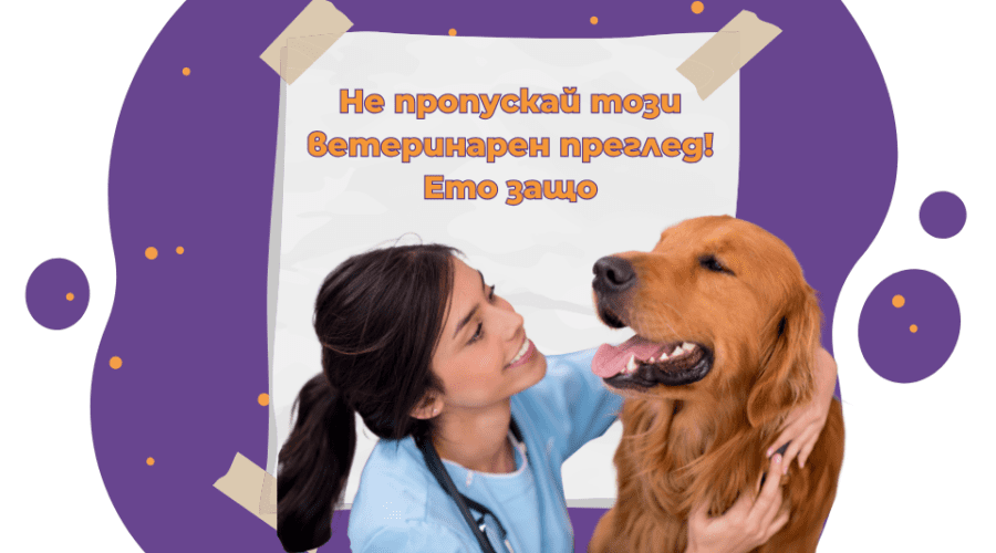НЕ ПРОПУСКАЙ тези прегледи при ветеринар!